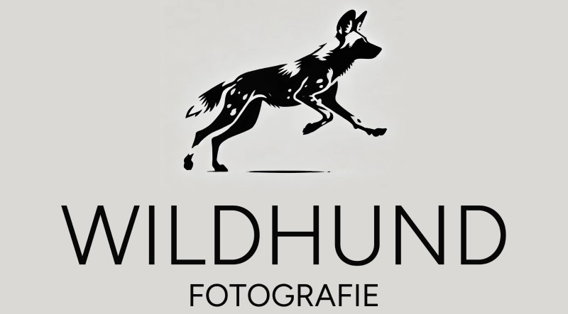 Wildhund.at